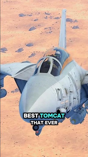 The best F-14 in service? #warthunder