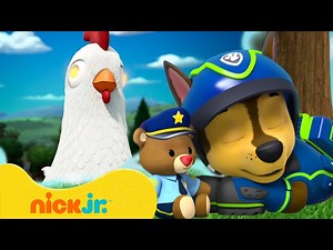 PAW Patrol Pups Have Weird Dreams! #4 w/ Chickaletta | 10 Minutes | Nick Jr. - Videos For Kids