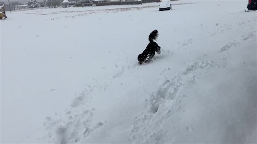Snow day with Barclay