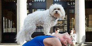 What is DOGA?