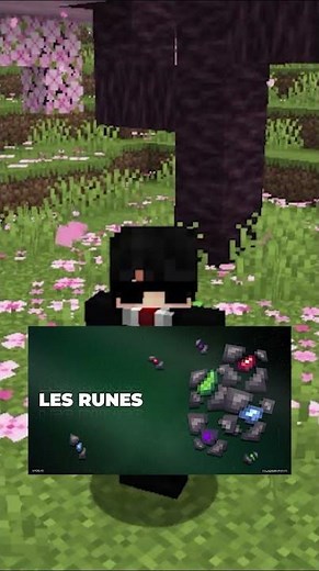 Voici toutes les nouveautés de Paladium V11 ! #minecraft #paladium