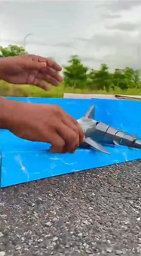 Remote control shark麗 unboxing and testing | Redkash Shorts | Facebook