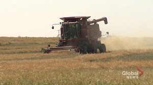 FCC report shows Saskatchewan farmland increasing in value