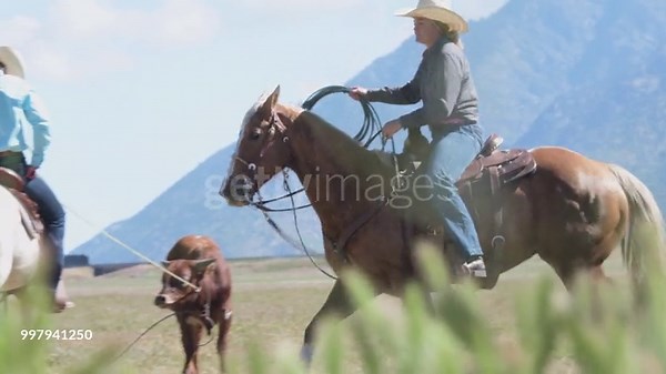 Young women ranchers on their horses as friend holds lassoed steer