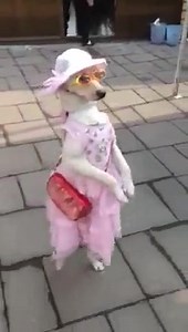 LINE_MOVIE_1444504158018 – смотреть видео онлайн в Моем Мире | ▒.L.B.▒.☾⋆™•RINAT•™☾⋆۩๑♚♚ ♚♚.☾⋆.™°•.K.•°İ°•.N.•°G°•.™.☾⋆.♚♚