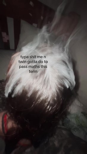 How to Pass Maths This Term: Study Plan for Twins