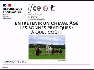 Cheval âgé Les bonnes pratiques et à quels coûts - Charlotte Geyl