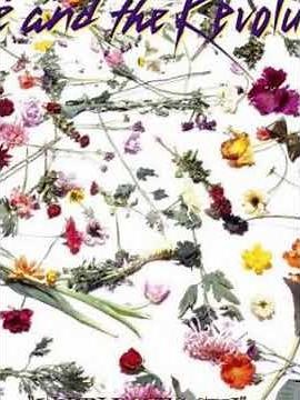 Prince the Revolution-When Doves Cry #music #lyrics.