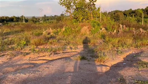 Terrains en vente juste après le nouveau corridor sud,une zone en construction et très convoitée. Superficie:500 mètres Documents ✅ Prix 2.500.000 FCFA Contacts 0544049392/0779722020/0778653698 | SIB inter SARL | Facebook