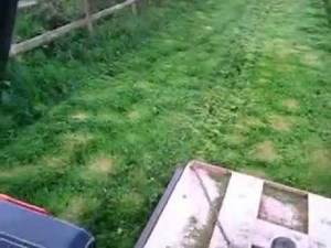 884 case international topping