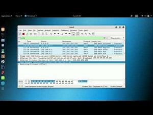 How to see the Dora handshake or DHCP handshake using wireshark