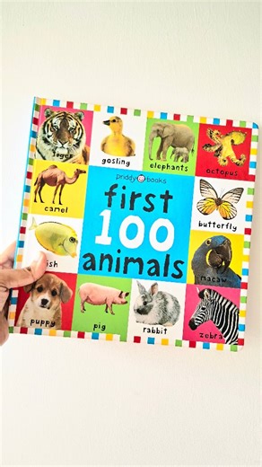 Learning Is New Fun on Instagram: "First 100 Animals By Priddy Books New Big Size Boardbook Age 0+"