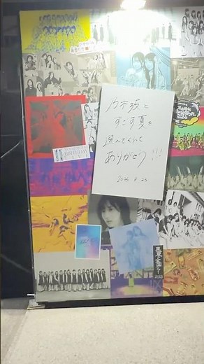 乃木坂46 真夏の全国ツアー神宮公演 4daysに行ってきた！ #乃木坂46 #真夏の全国ツアー #真夏の全国ツアー2026 #増田三莉音 #一ノ瀬美空 #是非に及ばず #shorts
