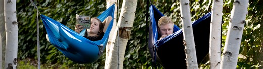 Optional and Required Testing