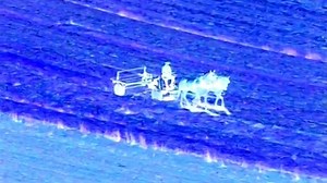 Baby Einstein Classics Season 1 Episode 4 - Baby MacDonald: A Day On the Farm in G Major