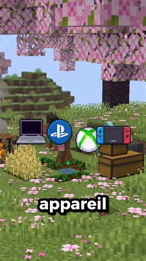 Impossible de visiter ce pays sur Minecraft !