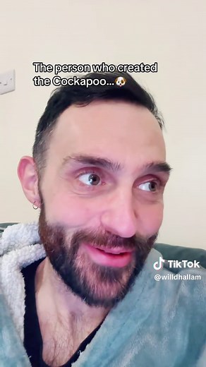 The Origin of the Cockapoo: A Poodle-Cocker Spaniel Mix