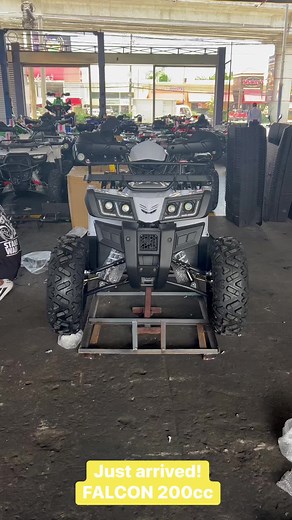Model: Falcon 200cc #AllTerrainVehicle #ATV #Adventure #Offroad #ATVRentals #ATVPH | ATV KING
