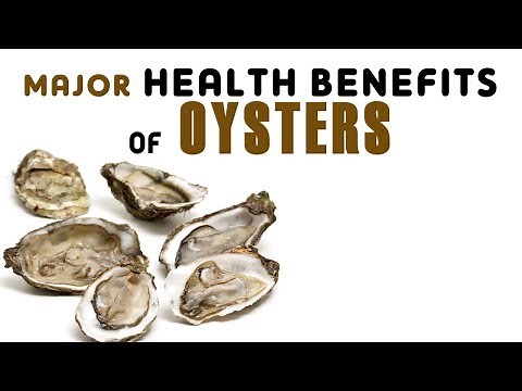 10 Major Health Benefits of Oysters