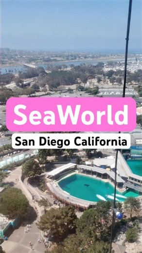 SeaWorld San Diego: 4 cosas que debes hacer 🐬