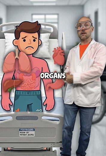 What organs can you live without? #todayilearned #tiktoklearningcampaign