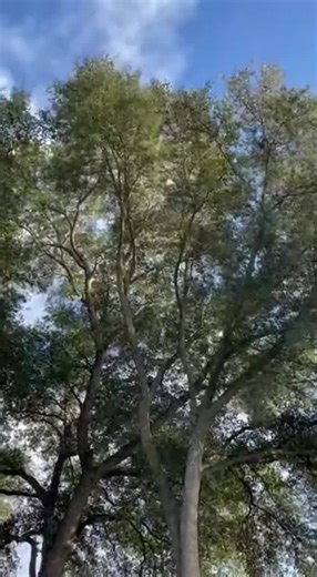 Unexpected Shocks That Will Leave You Speechless