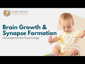 Developmental Psychology: Brain Growth and Synapse Formation