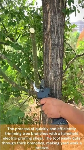 electric pruning shears 🌳 | tree trimming process