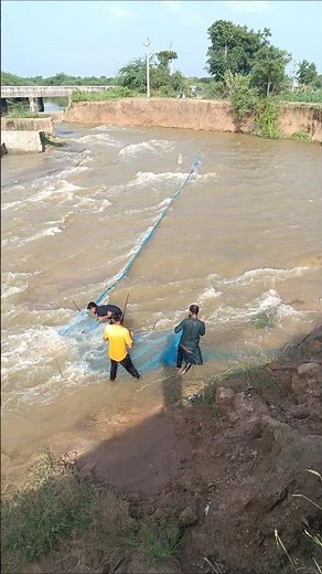 chalu Canal Mein Ham net Lagate Hain Dekho🐟🦈🫡 #fishing #youtube #video #viral #love #instagram
