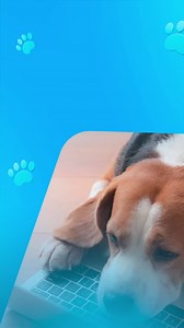 128 reactions · 69 comments | Suscríbete al Internet más rápido de Puerto Rico.  | LibertyPR | Facebook