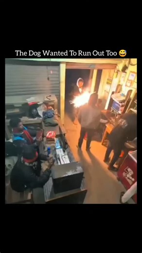 meme matrix on Instagram: "This viral clip documents a robbery attempt that goes off the rails almost immediately inside a small Indian kirana (corner) store. Masked intruders force their way in, but instead of pulling off a clean escape, the situation quickly turns into pure chaos. Slippery floors, clumsy movements, and poorly timed steps cause the would-be robbers to stumble, fall, and lose control of the moment entirely. To make the failure even funnier, bold on-screen text reading “Mission S