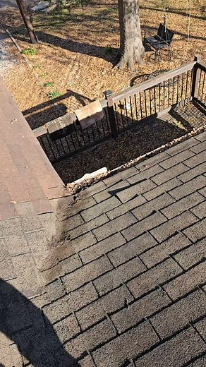 45 reactions · 12 comments | Good Ole #wateroak trees! | Heath Patterson | Facebook