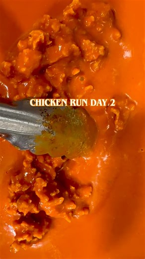 Cross-The-Road Chicken Co. on Instagram: "Day 1 of the Chicken Run was a huge success! I’m even more excited about today- we’re kicking off day 2 with a new and improved Buffalo Bleu Sando! AVAILABLE TODAY ONLY🚨 - Fermented Fresno honey buffalo sauce - Koji Buffalo powder - Miso Bleu cheese dressing - Pickles - Slaw - Lime Pickled shallot - House Brioche Bun Can’t wait for you to try this one."