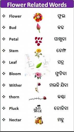 Flower Related Words in English |Spoken English #shorts #english #spokenenglish