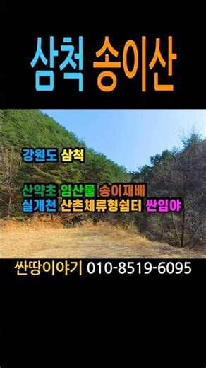 (삼척-2670) 삼척시 근덕면 광태리 산촌체류형쉼터 산약초 송이재배 싼임야 #삼척임야매매 #삼척송이산 #삼척쉼터