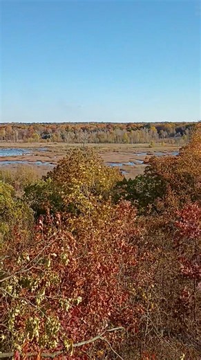 Indiana Dunes National Park. marshlands ......today.....somethings don't change.... thankfully | Daniel W Baldwin