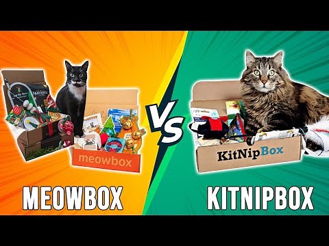Meowbox vs KitNipBox - Which Is Better? (A Detailed Comparison)
