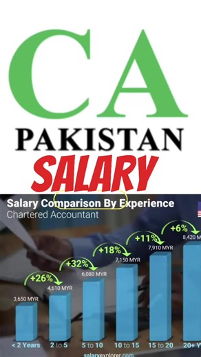 Understanding the Salary of a Chartered Accountant
