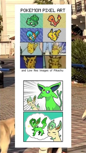 Pokemon Funny Meme - Part 61