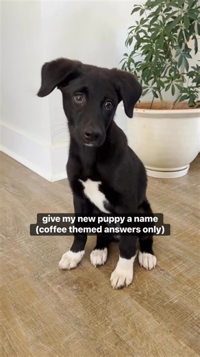 71K views · 210 reactions | Coffee mate on Reels | Facebook