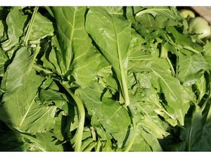 Bagged Salads Recalled Over Salmonella Concerns