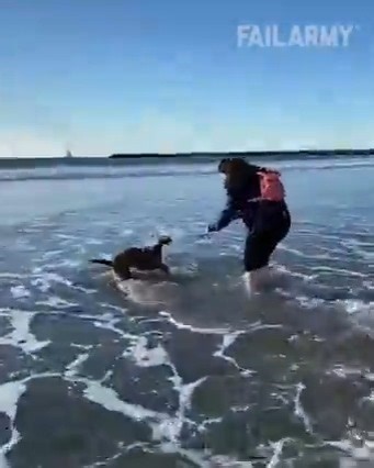 21K views · 58 reactions | Perfect Scare - Fails of the Week | FailArmy part 7 | FailArmy | Facebook