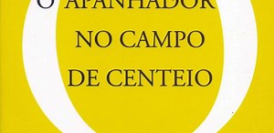 Oito livros para adolescentes que todo adulto deveria ler