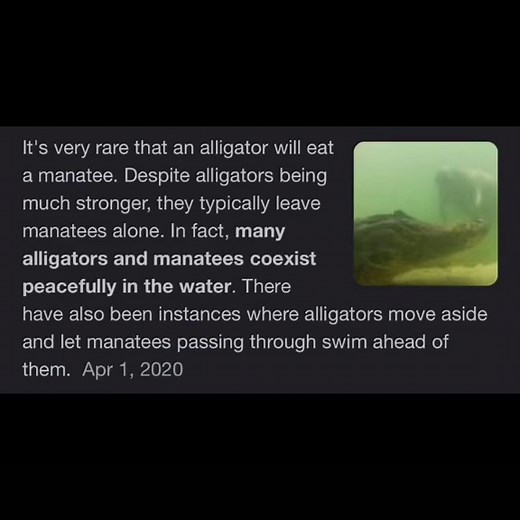 Learn about manatees #fyp #fy #manatee