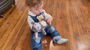 Watch Dancing Music Donkey Toy for Kids on Amazon Live