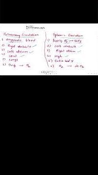 Difference Between Pulmonary & Systemic Circulation | Easy Comparison in 1 Minute