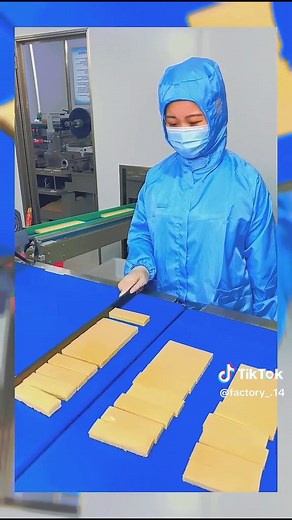 A Day in the Life of a Factory Worker in Hungary