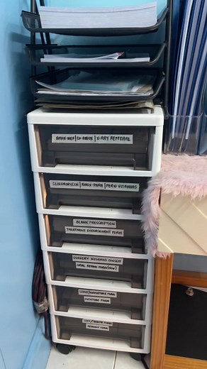 Organize na jd among mga files☺️ #fileorganizerdocuments