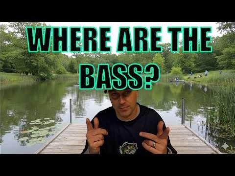 How to Find Bass in Any Pond (Bank Fishing)