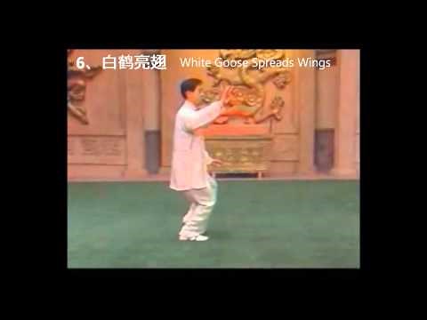 Chen Style Tai Chi 18 Form with Chinese and English Step Names